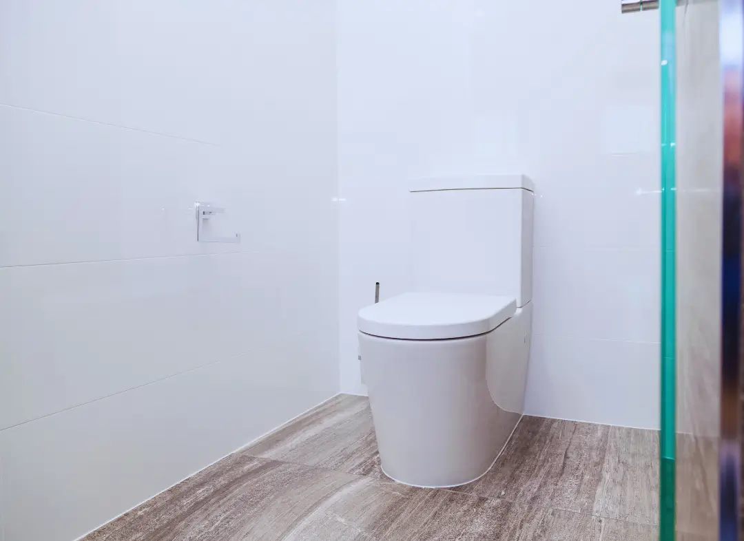 Remplacement de wc Le Grau-du-Roi